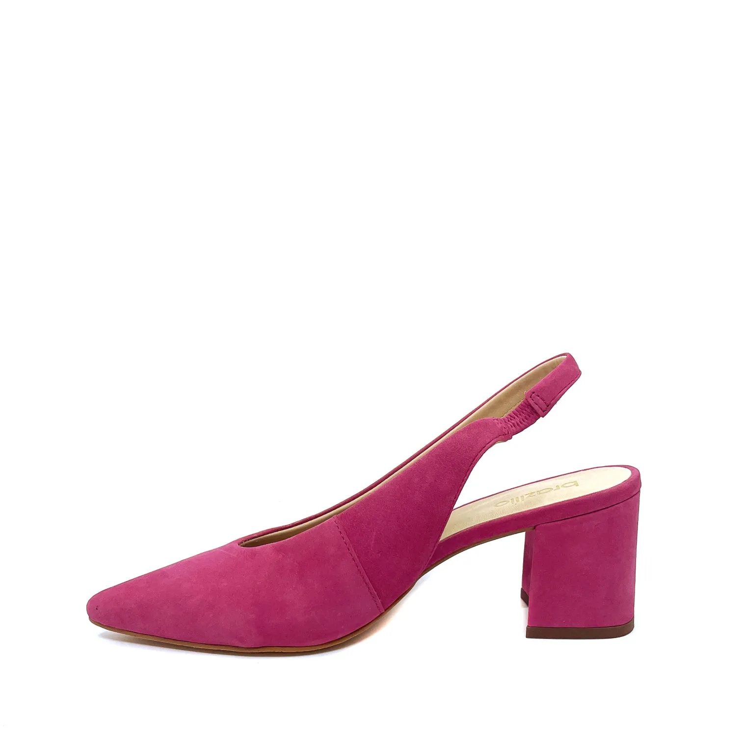 Brazilio 49108 Camelia
