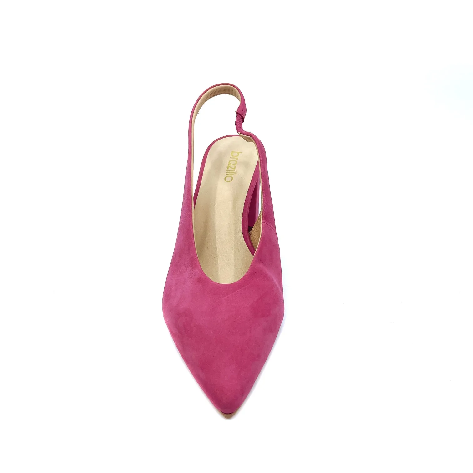 Brazilio 49108 Camelia