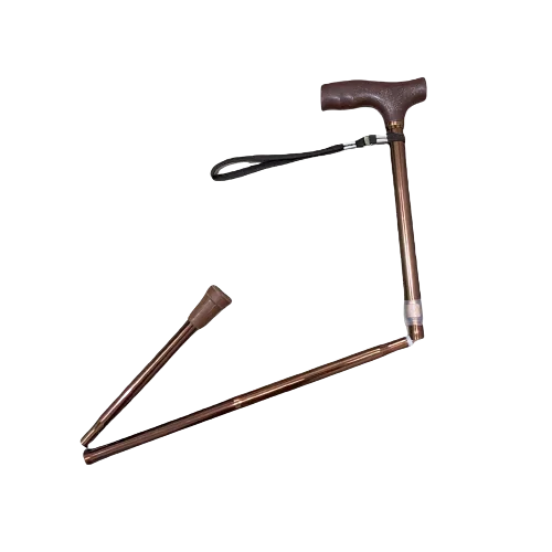 Walking Stick Removable (FS9276L)
